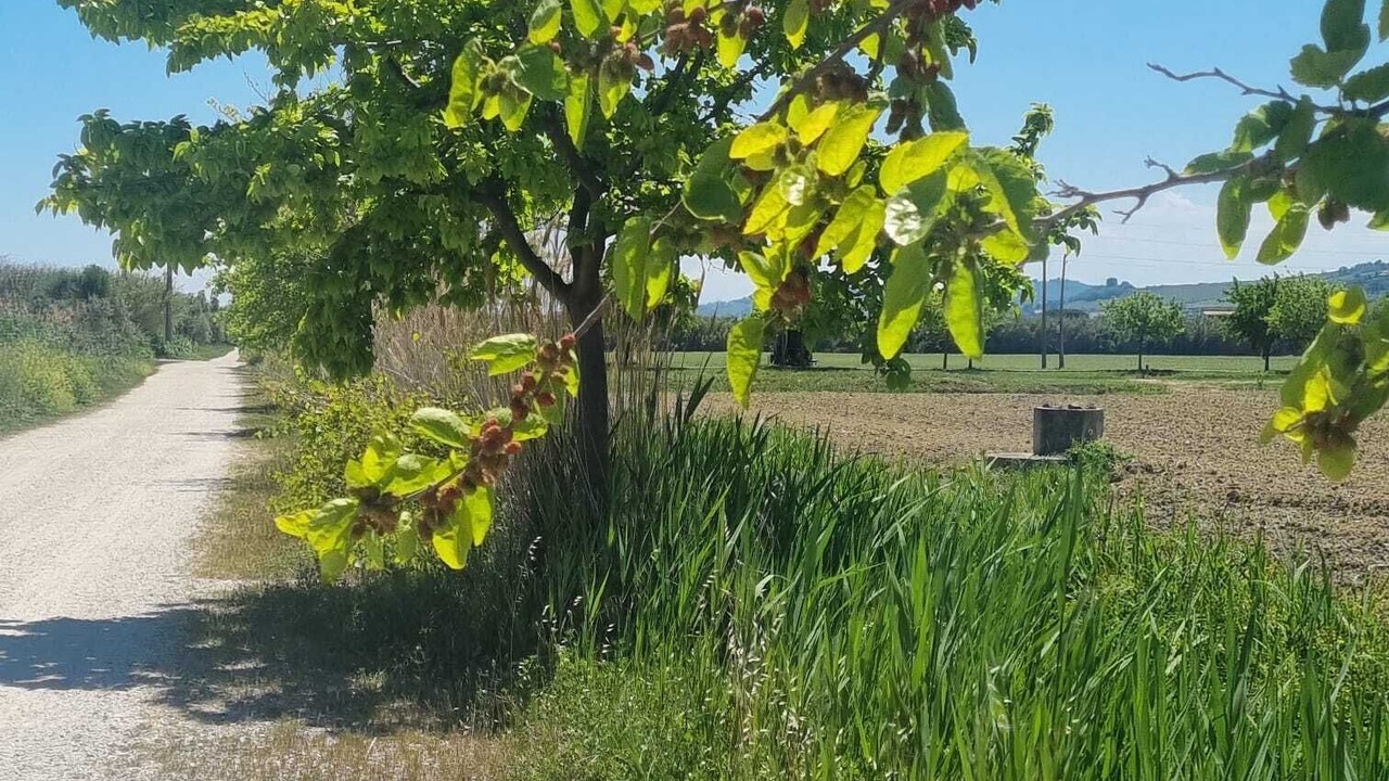 Photo of Outdoor in San Benedetto del Tronto