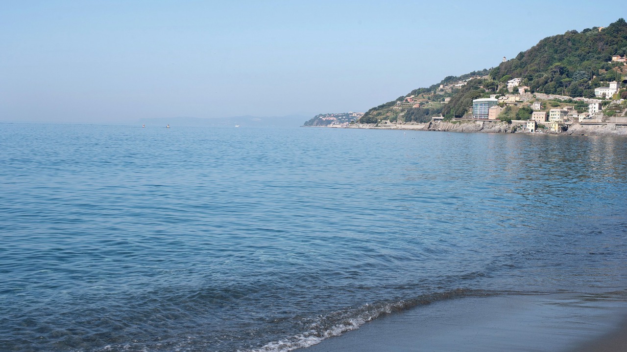 Photo of Others in Voltri