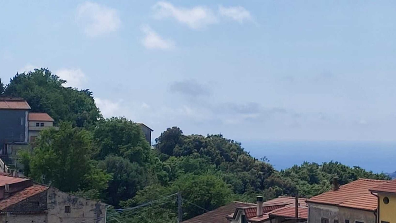 Photo of Others in Castelnuovo Cilento
