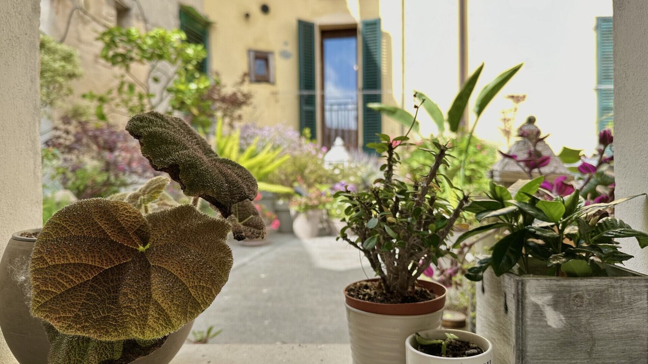 Photo of Outdoor in Ancona