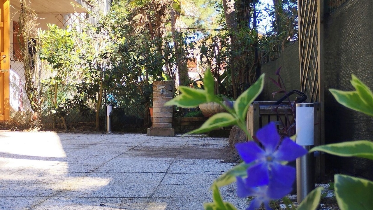 Photo of Outdoor in Marina Romea