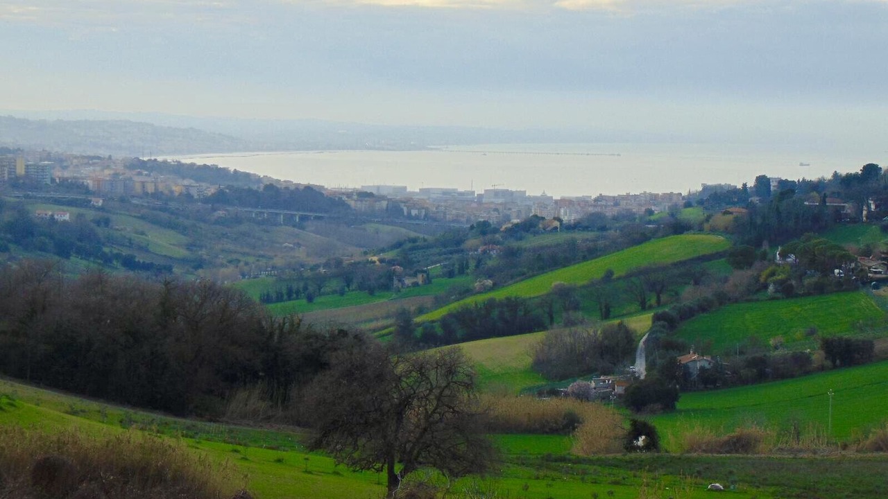 Photo of Others in Ancona