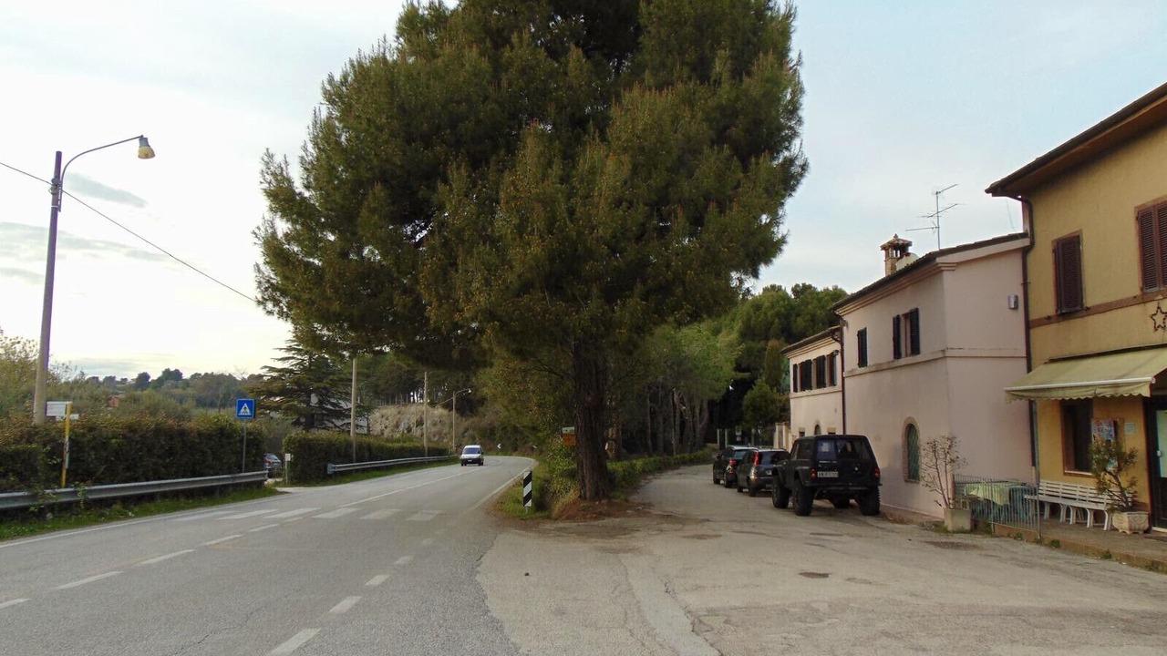 Photo of Others in Ancona
