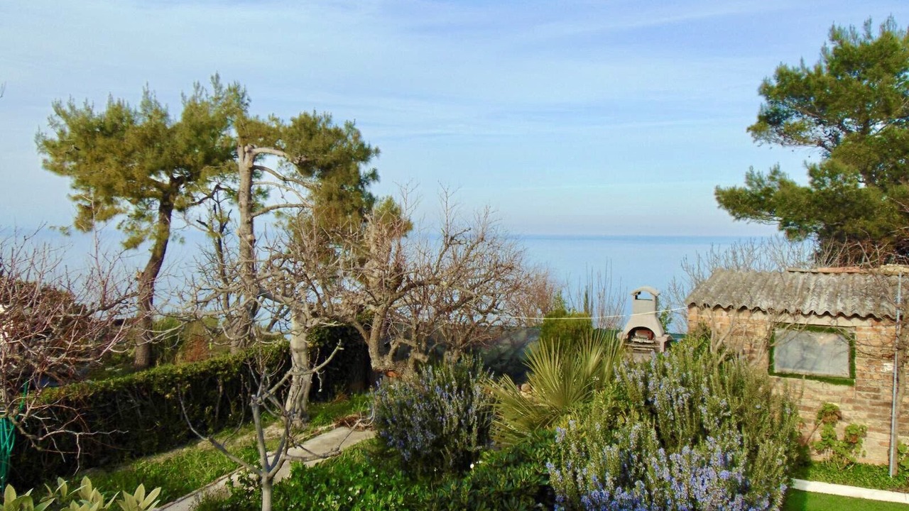 Photo of Others in Ancona