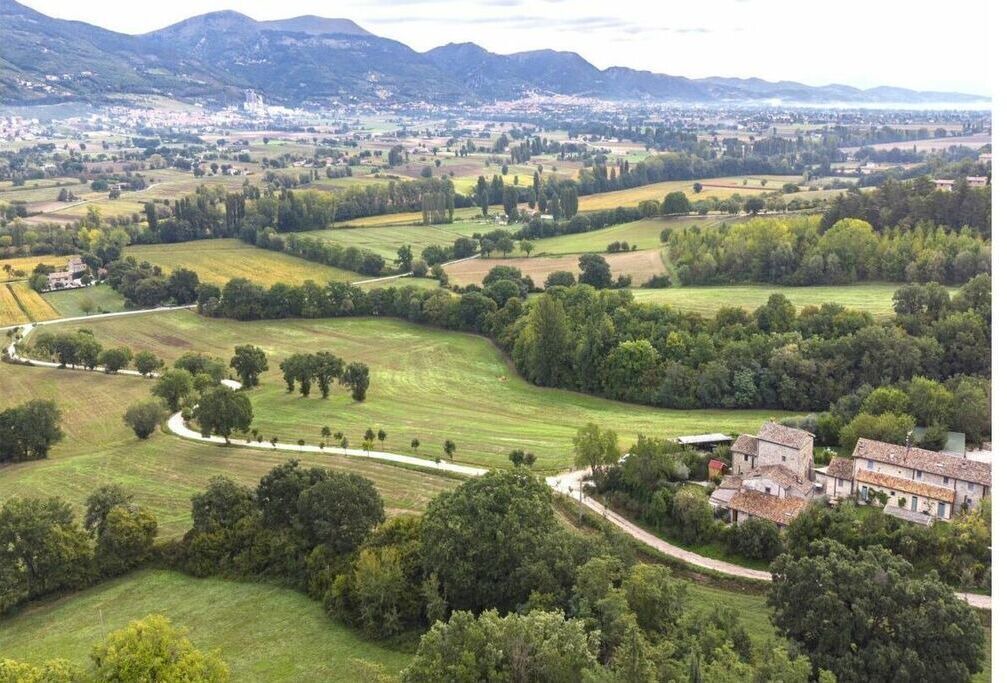 Photo of Outdoor in Monteluiano