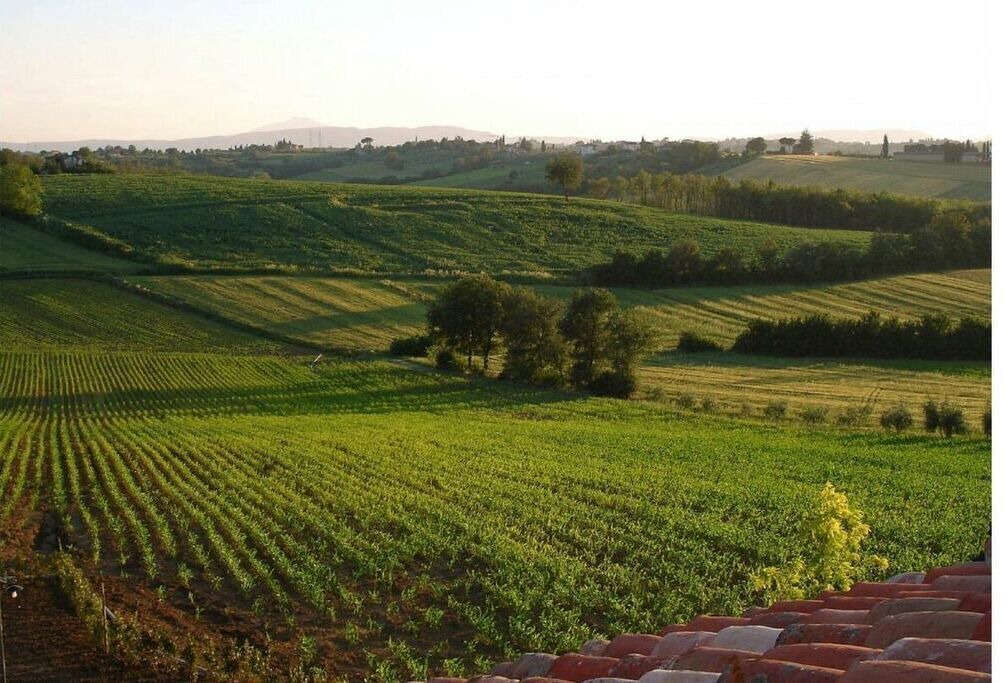 Photo of Outdoor in Badia