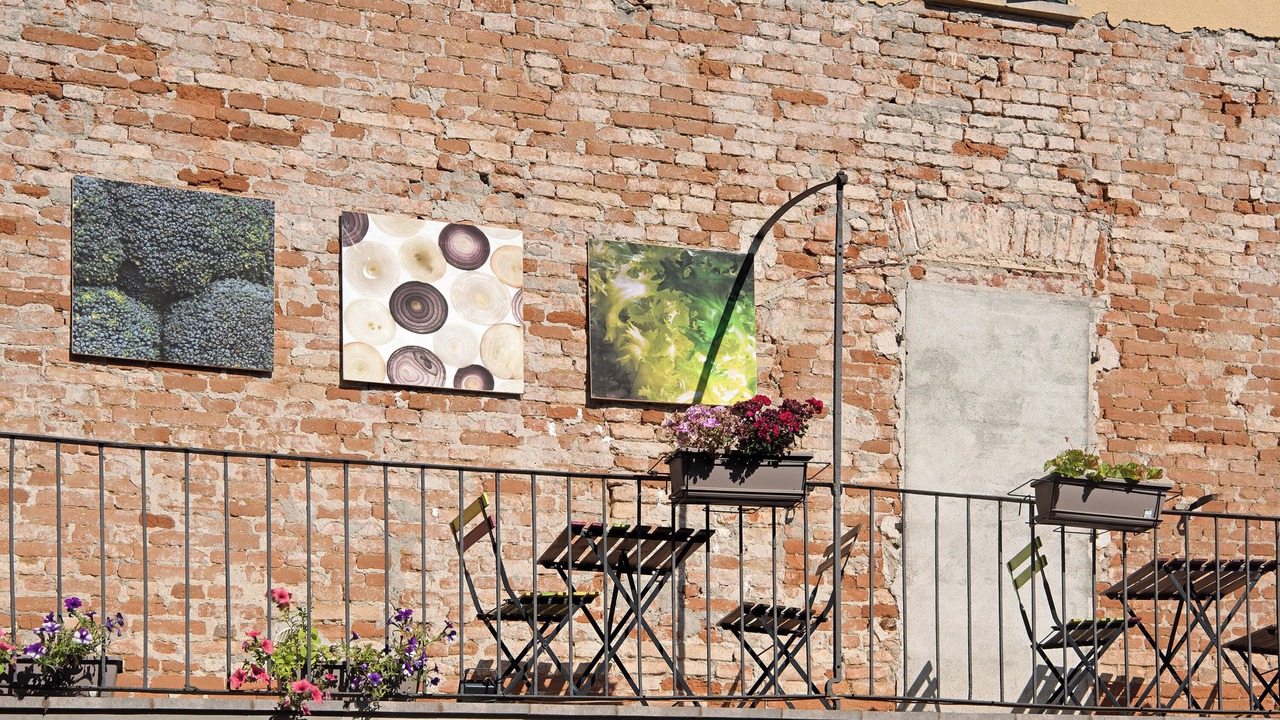 Photo of Outdoor in Sezzadio