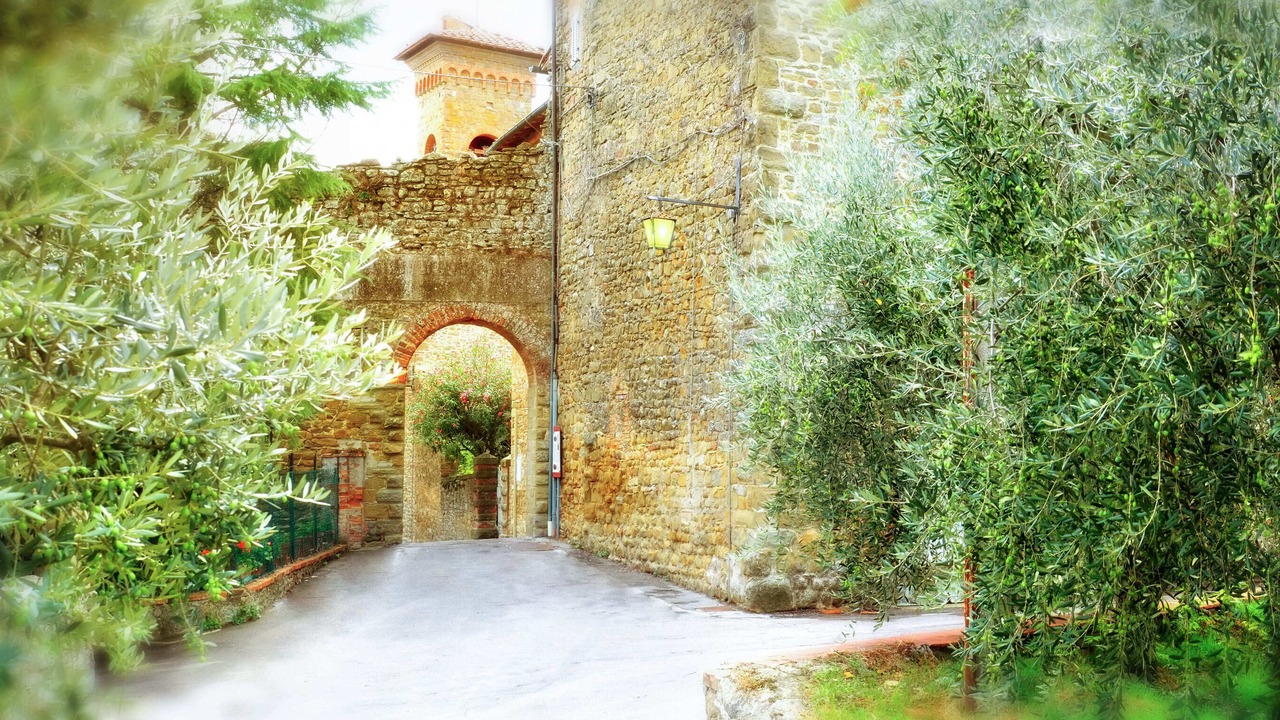 Photo of Outdoor in Oliveto