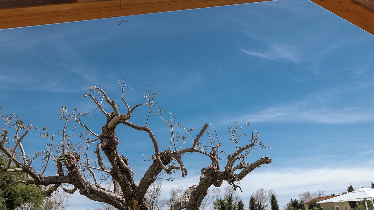 Photo of Outdoor in Molino Ciccolini