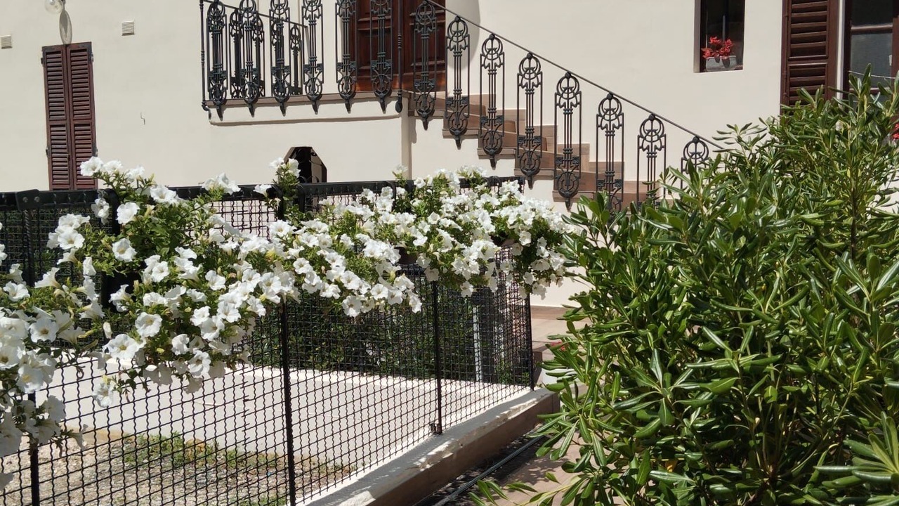 Photo of Outdoor in Senigallia