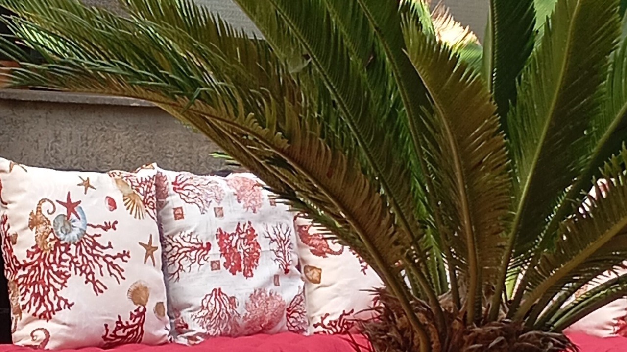 Photo of Outdoor in Salerno