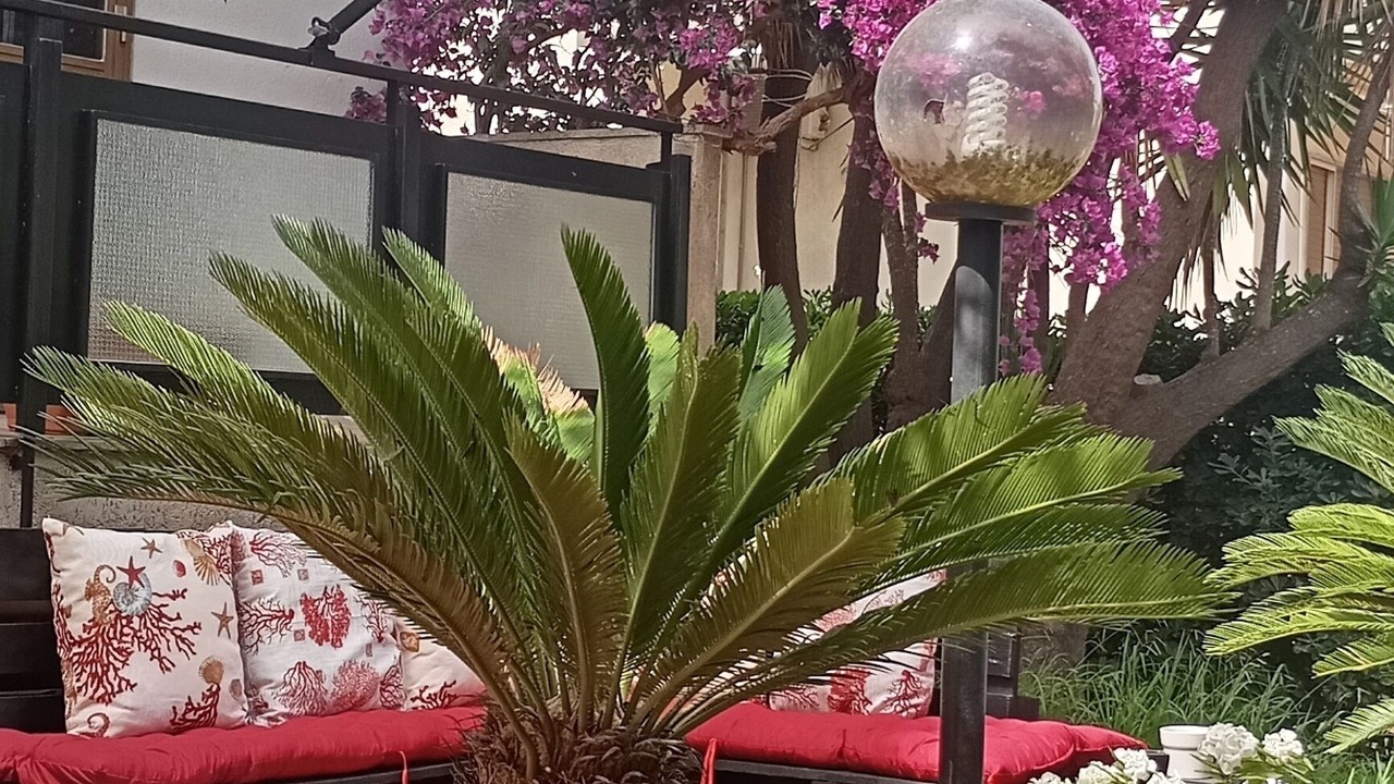 Photo of Outdoor in Salerno
