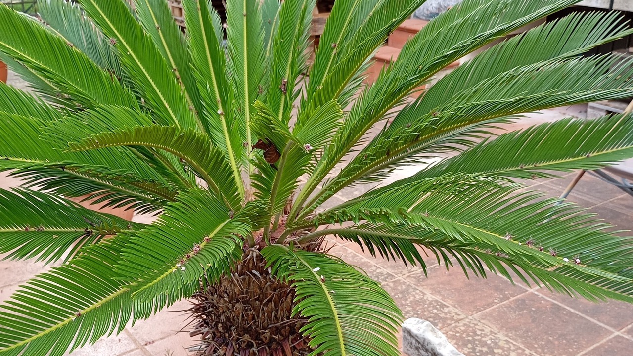 Photo of Outdoor in Salerno