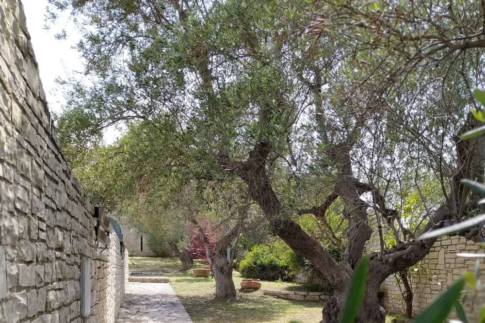 Photo of Outdoor in Trani