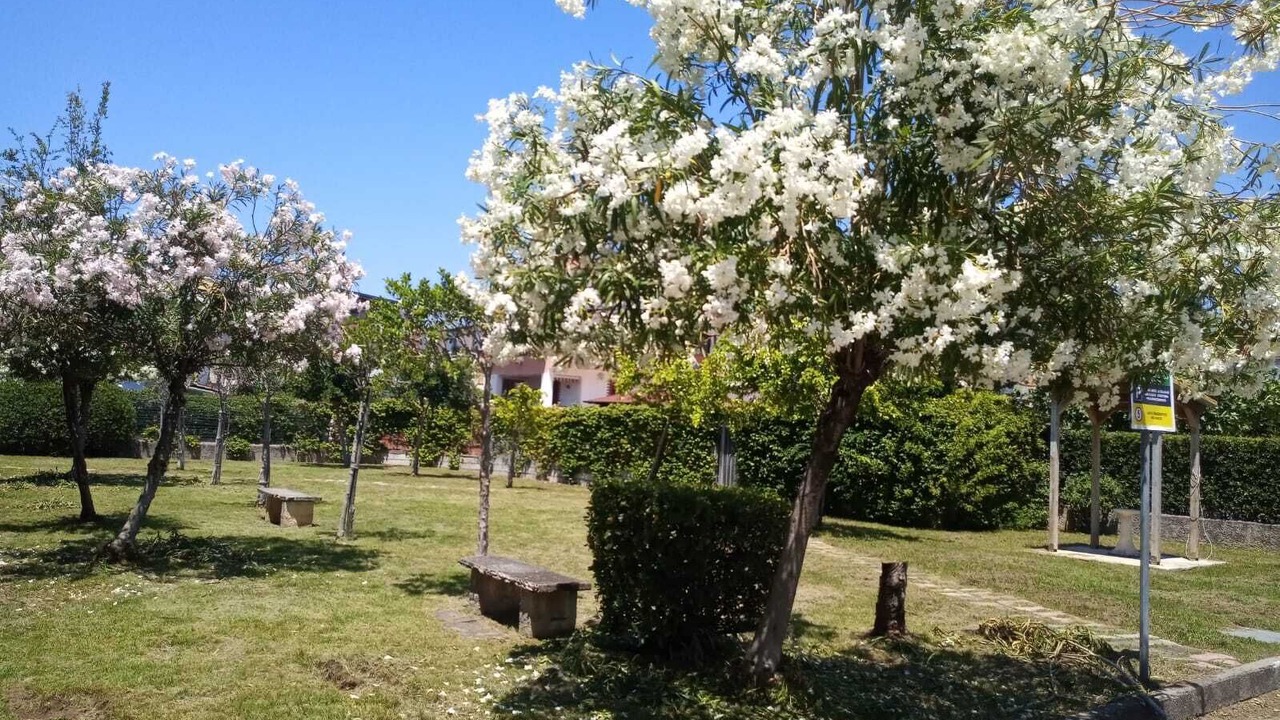 Photo of Outdoor in Scalea