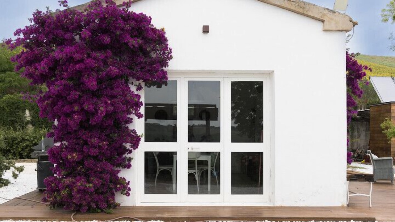 Photo of Outdoor in Montefano