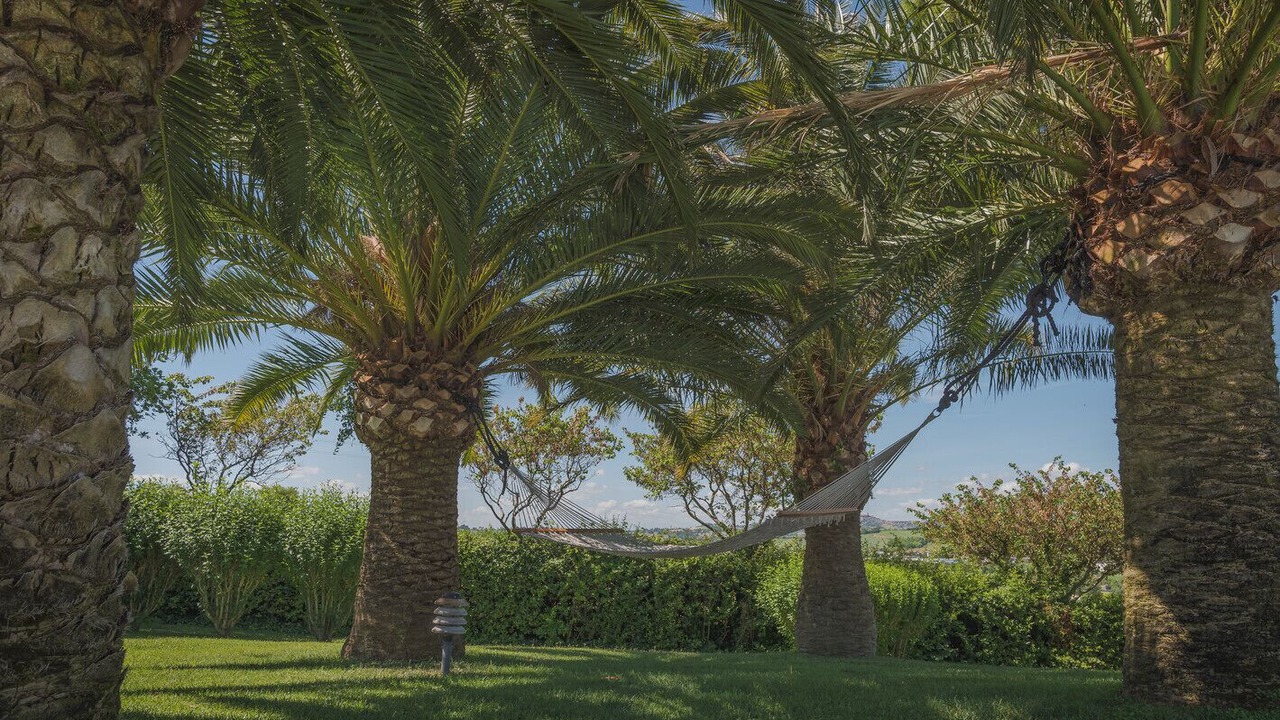 Photo of Outdoor in Camerano