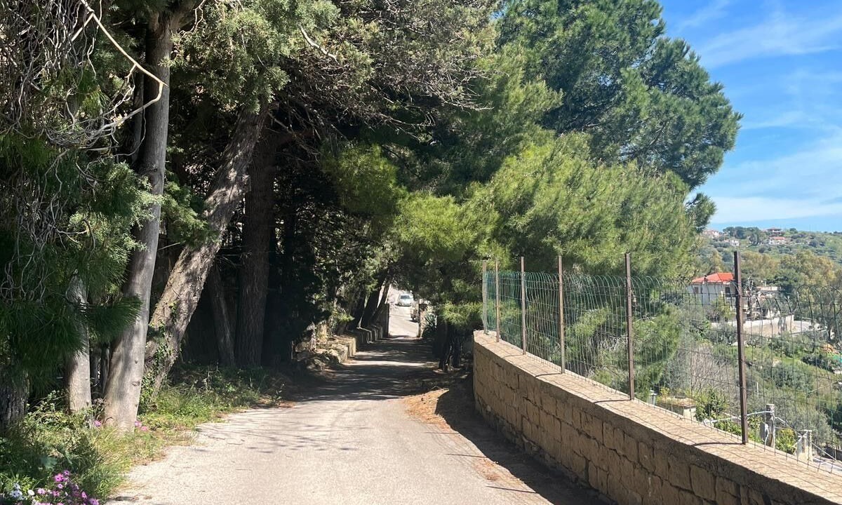 Photo of Outdoor in Castellabate Historic Centre
