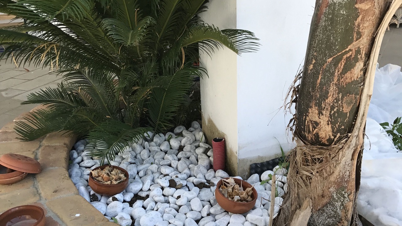 Photo of Outdoor in Palinuro
