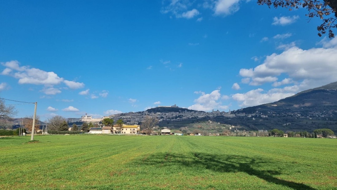 Photo of Outdoor in Santa Maria degli Angeli