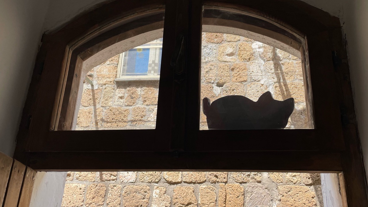 Photo of Others in Tuscania