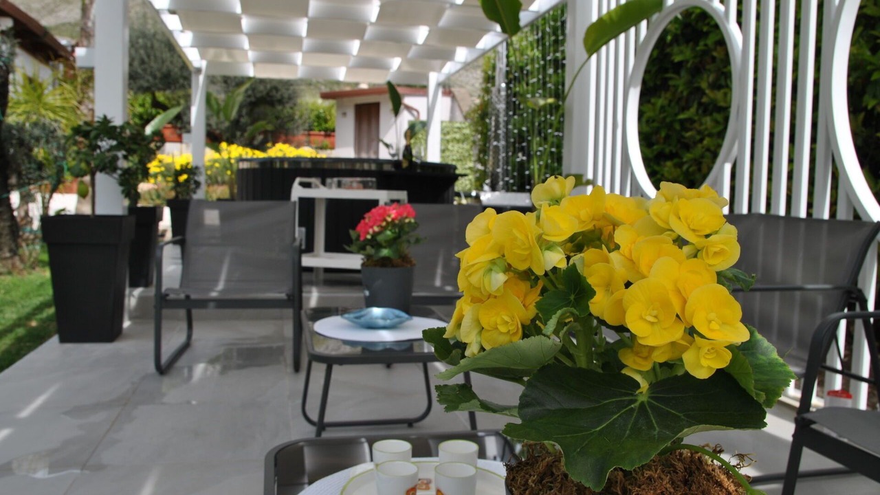 Photo of Outdoor in Trivio