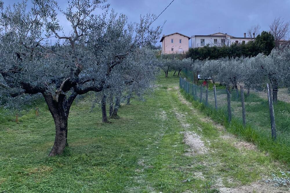 Photo of Outdoor in Ocenelli