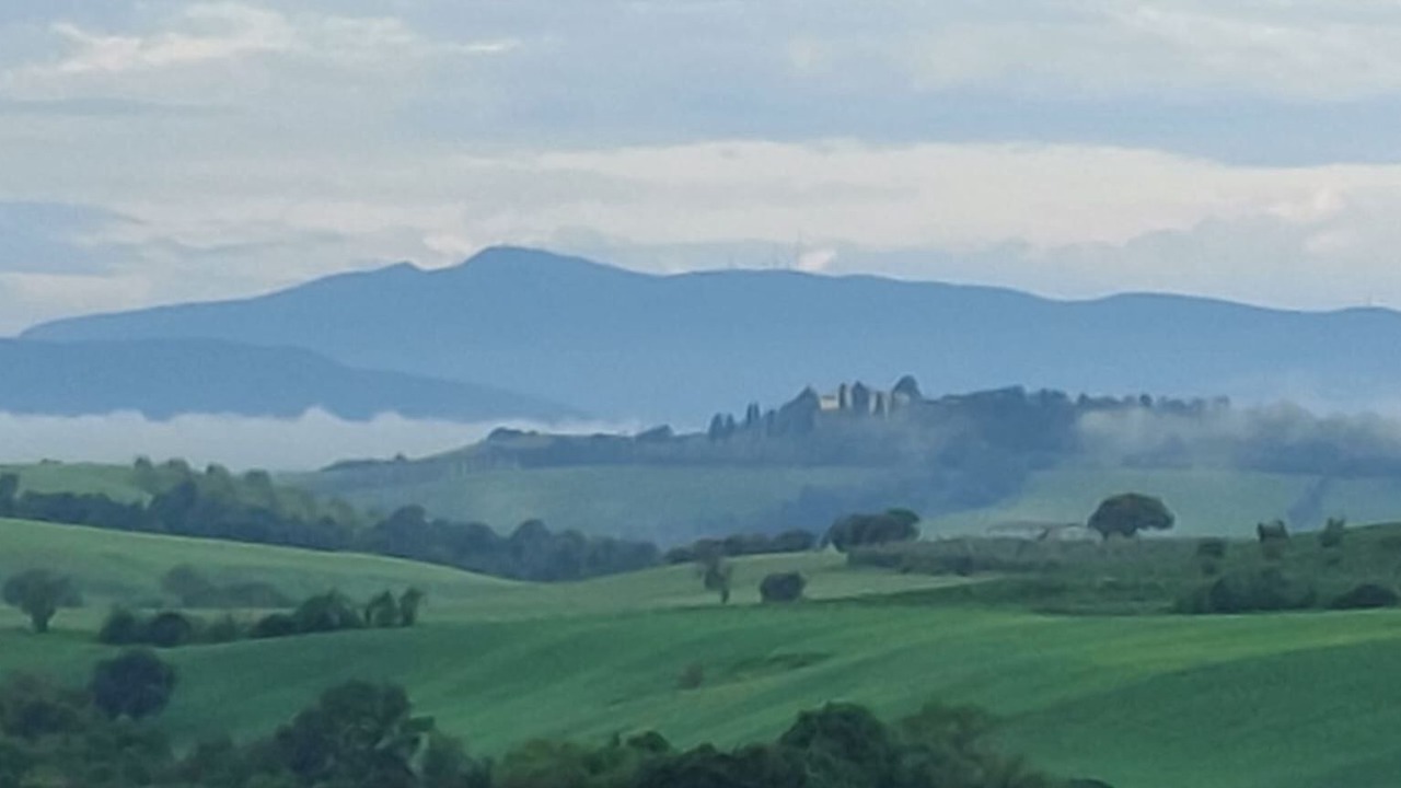 Photo of Others in Scansano