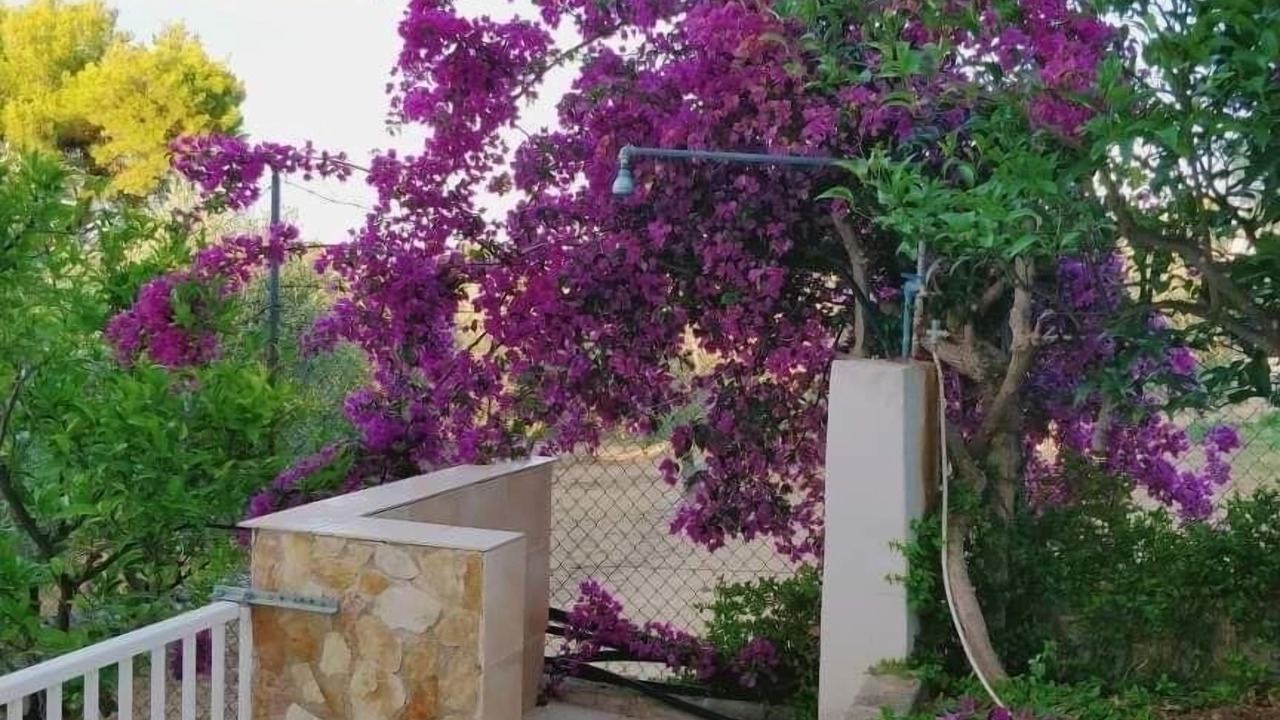 Photo of Outdoor in Defensola
