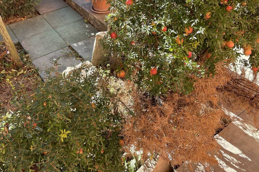 Photo of Outdoor in Bisenti