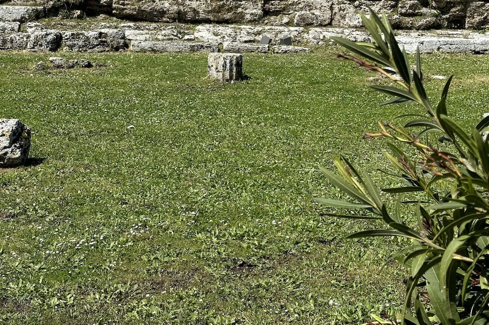Photo of Others in Capaccio Scalo