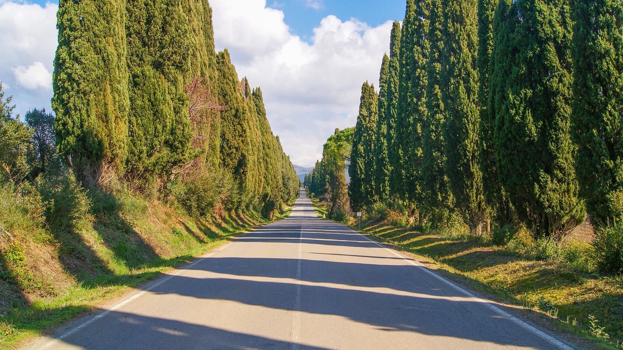 Photo of Others in Castelnuovo di Val di Cecina
