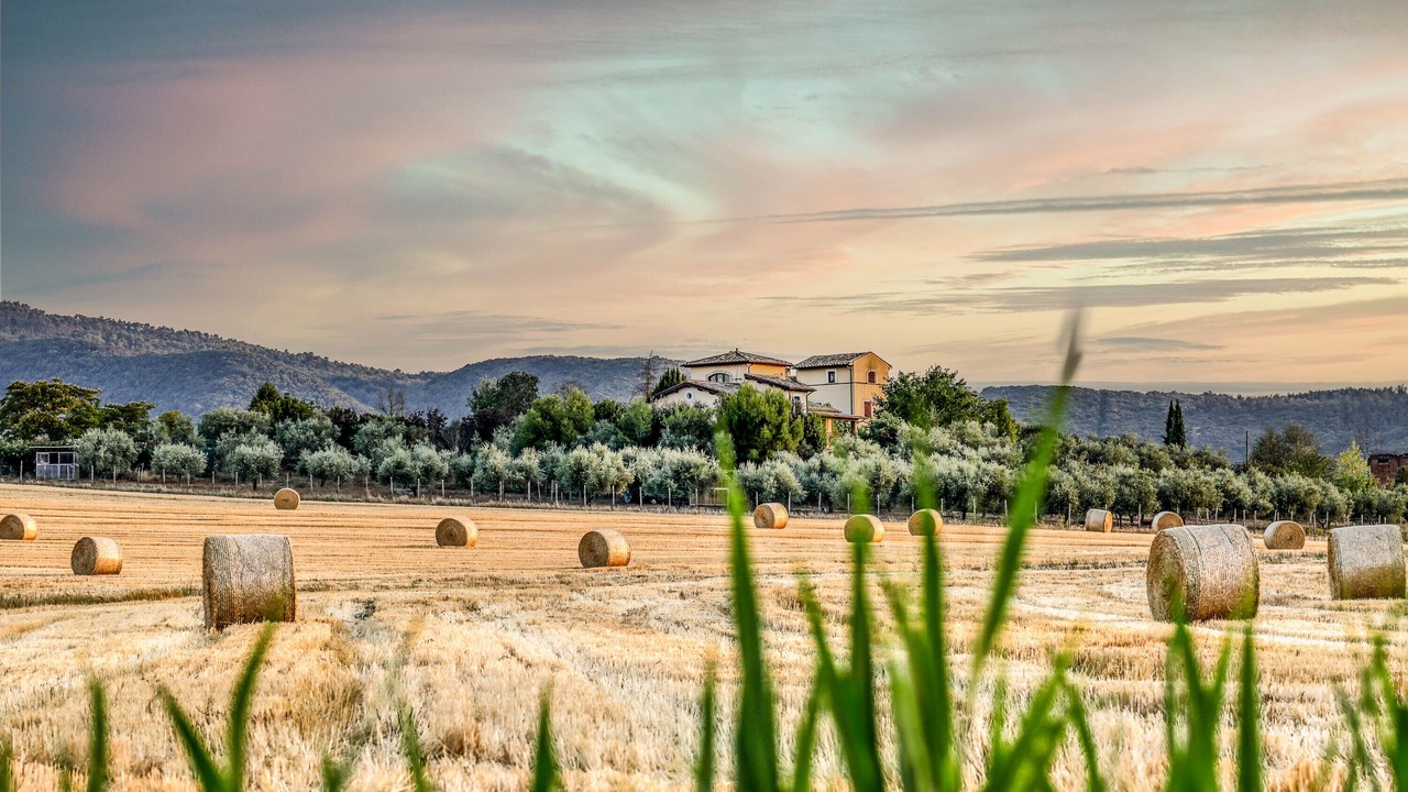 Photo of Outdoor in Narni