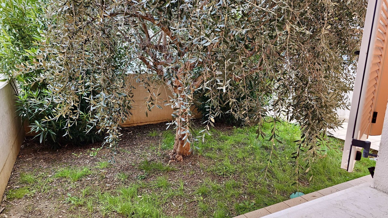 Photo of Outdoor in Marotta