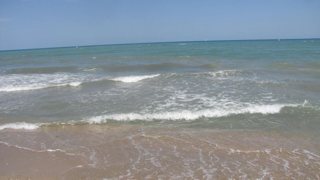 Photo of Others in Cologna Spiaggia