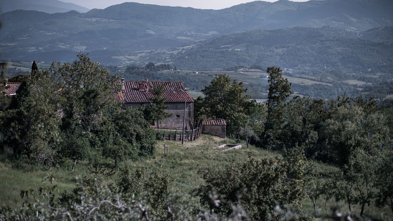Photo of Outdoor in Montebonello