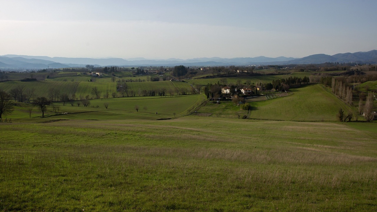 Photo of Outdoor in Montebonello