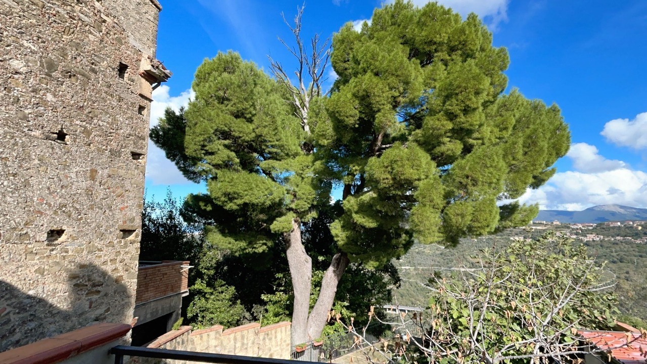 Photo of Outdoor in Torchiara