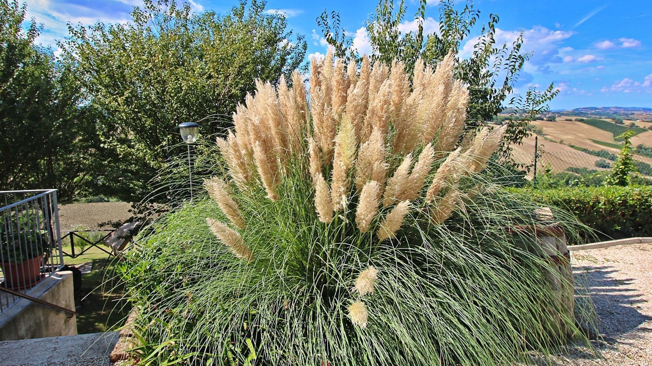 Photo of Outdoor in Arcevia