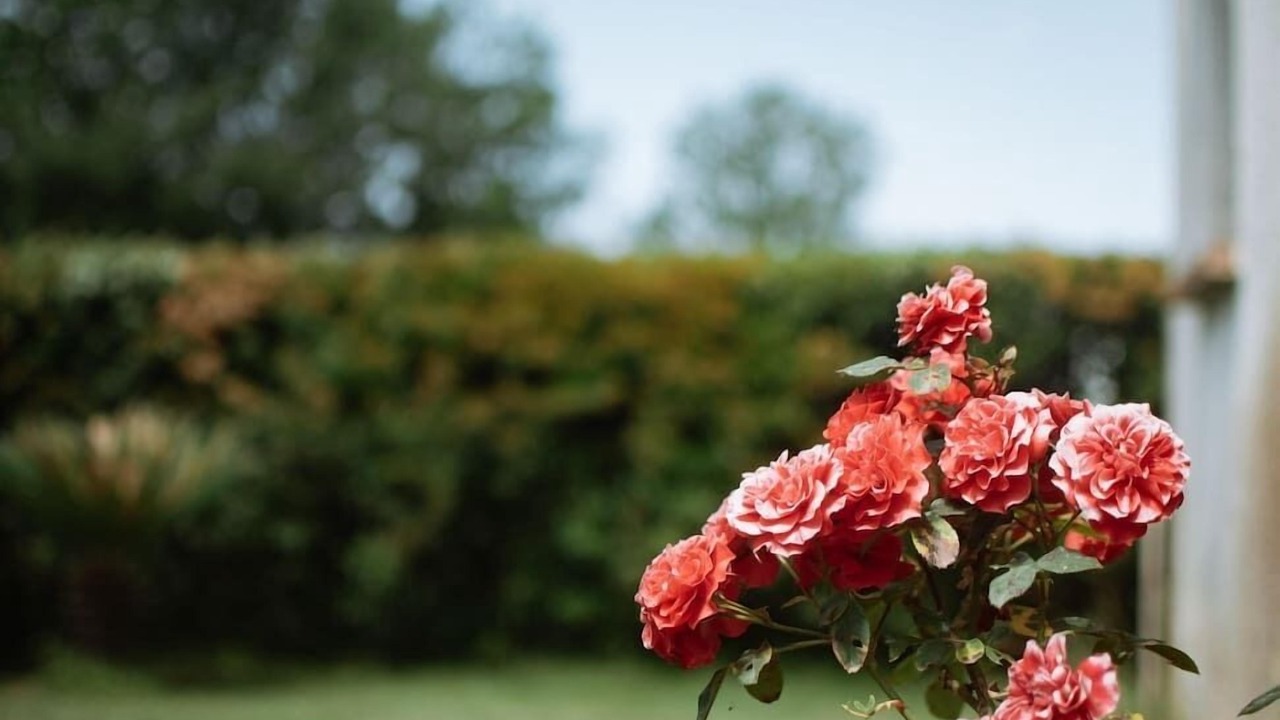 Photo of Outdoor in Lioni