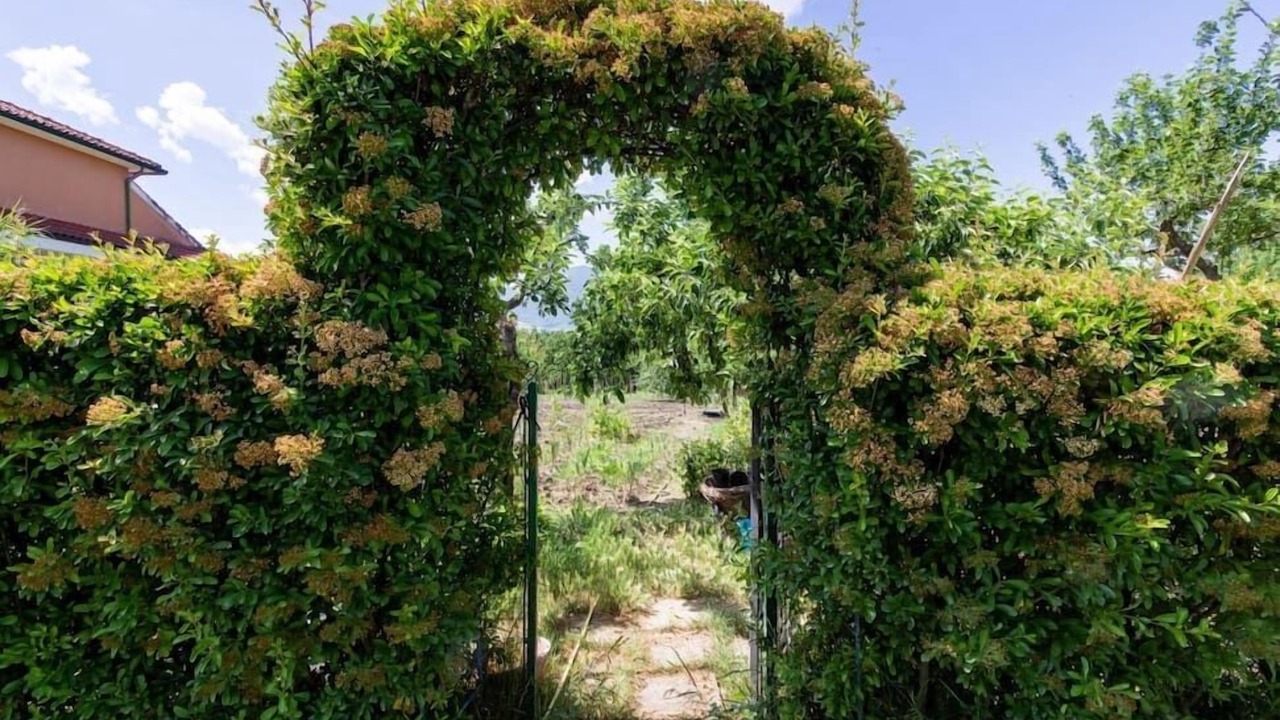 Photo of Outdoor in Lioni