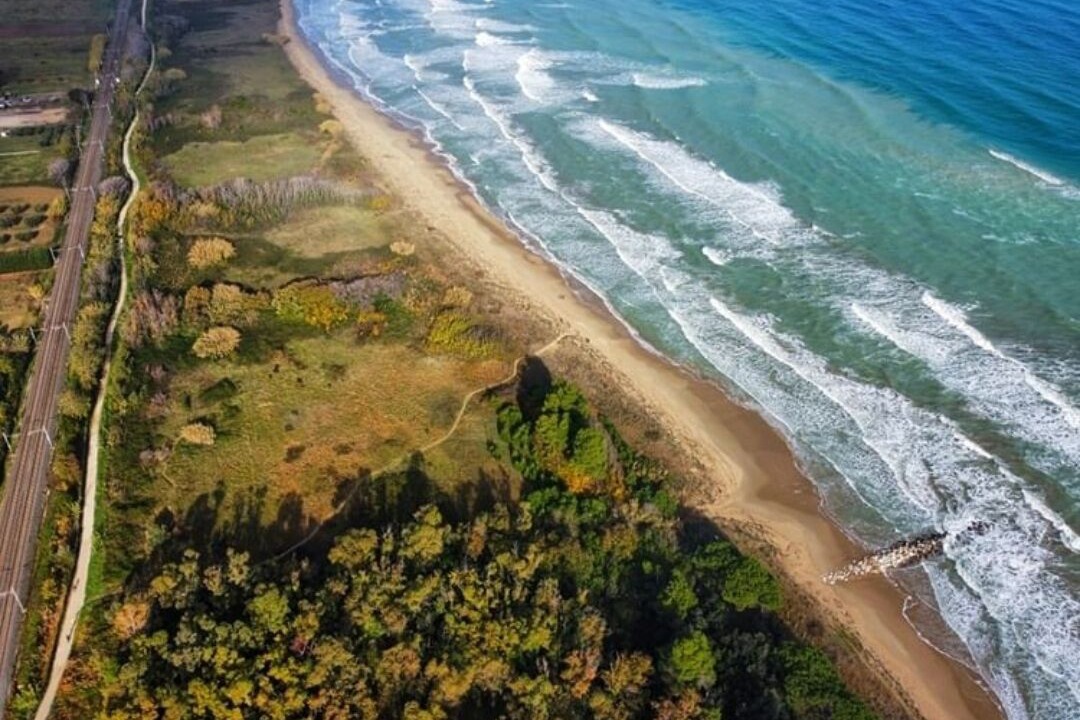 Photo of Outdoor in Cologna Spiaggia