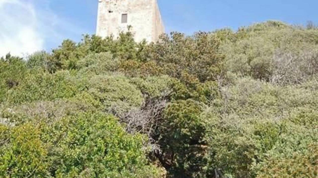 Photo of Others in Fonte Blanda