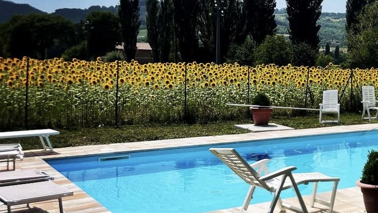 Photo of Outdoor in Monteluiano