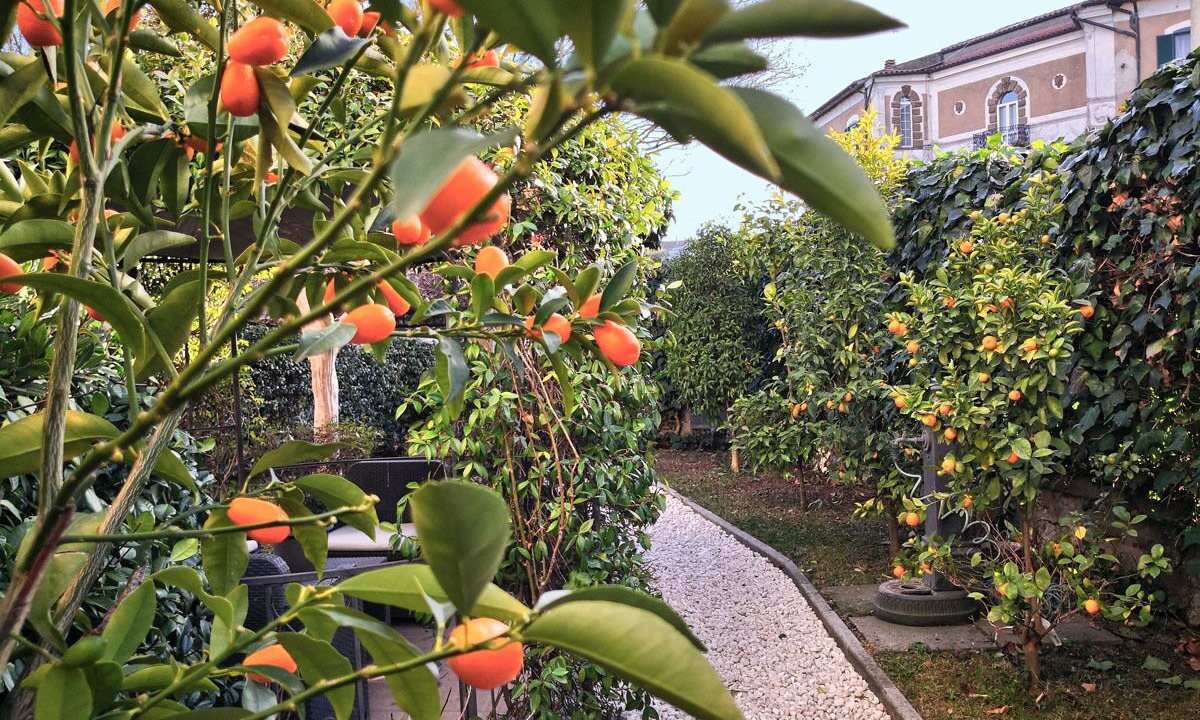 Photo of Outdoor in Tuscania