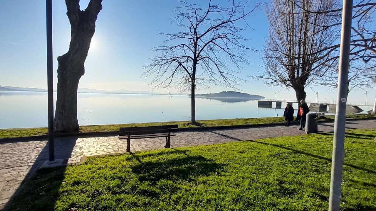 Photo of Outdoor in Collesanto