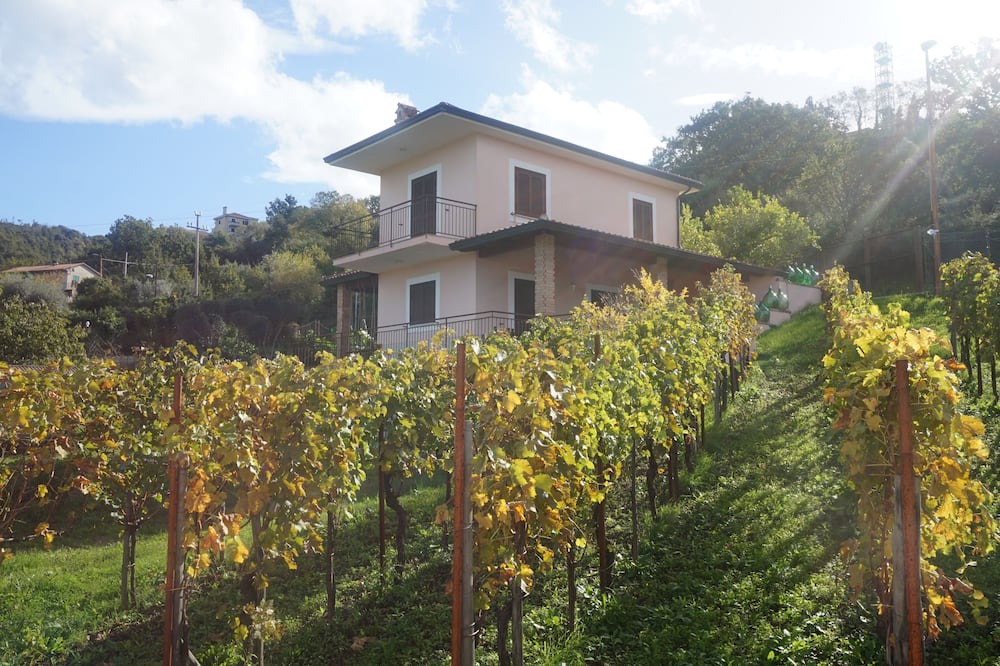 Photo of Outdoor in Perdifumo