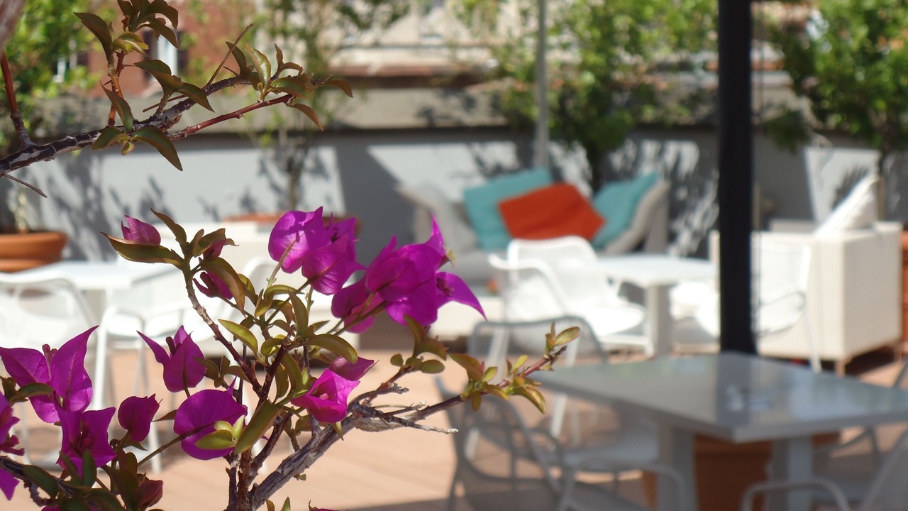 Photo of Patio Balcony in Monti