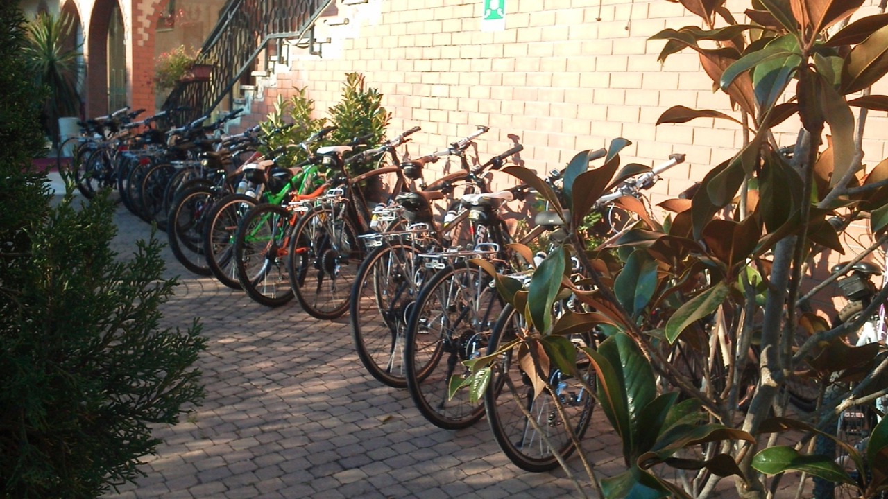 Photo of Outdoor in Corciano