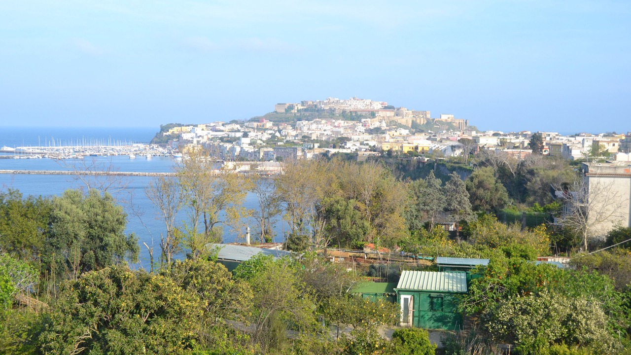 Photo of Others in Procida